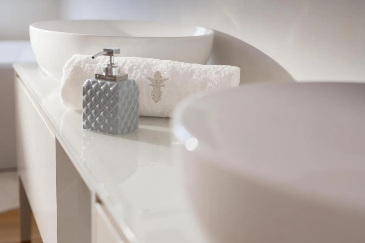 Villa Bianca By Hmz Villas Tar-Vabriga
